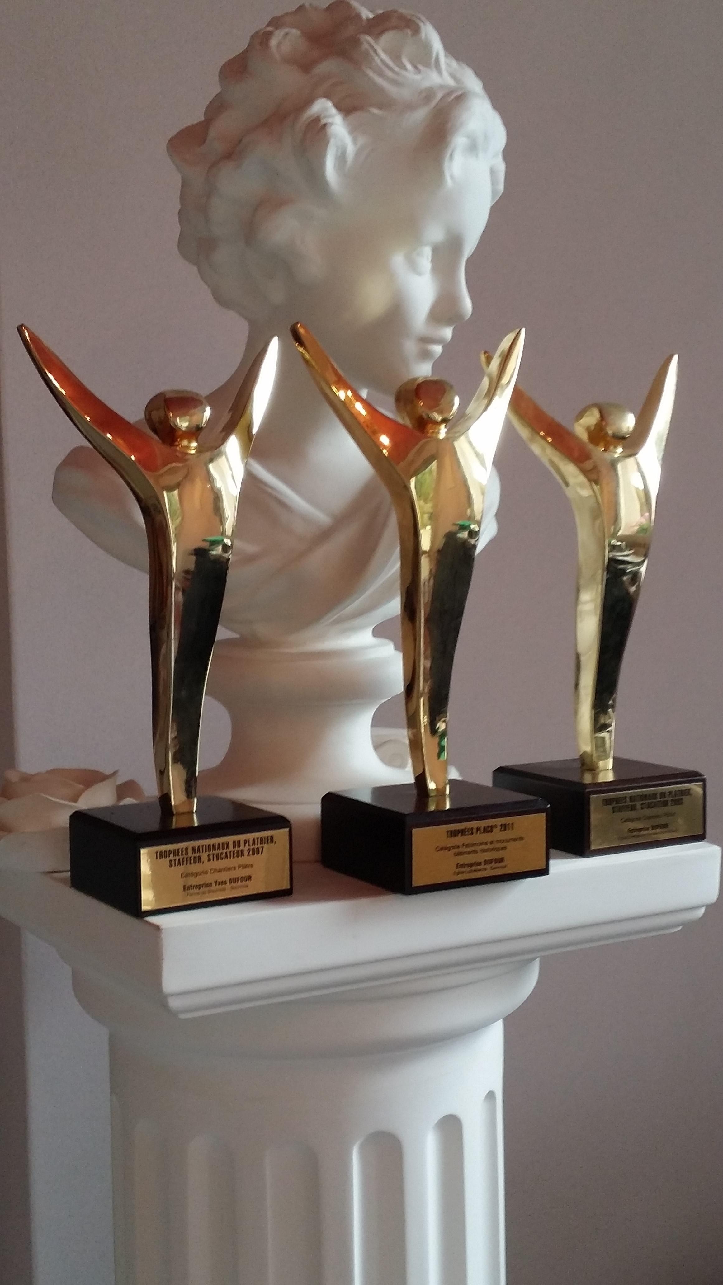 Ets Yves Dufour , plâtrerie-décoration à Nommay (25600)